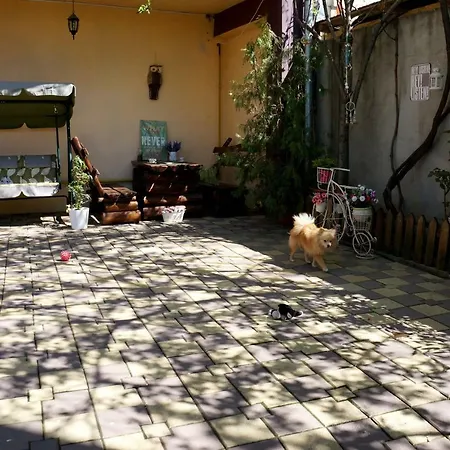 Апартаменты Nirvana Бухарест